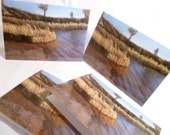 Greeting card 5 x 7 (blank inside) - Shoreline Landscape - Fine art reproduction