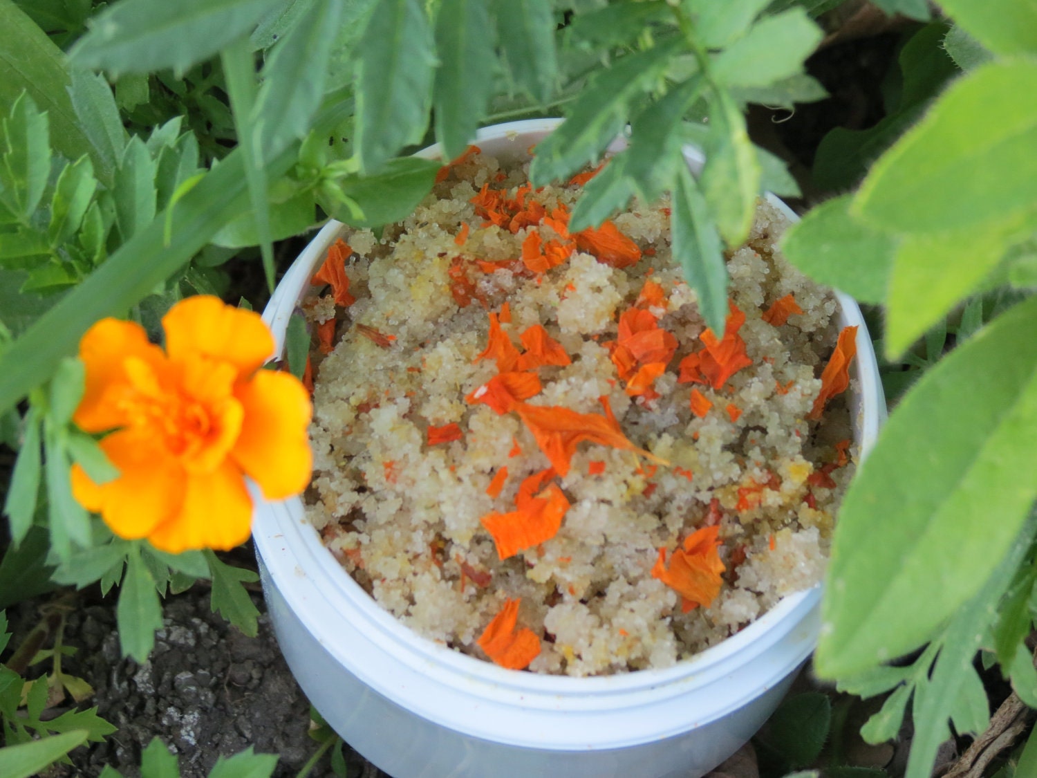 Body scrub "Double marigold and Chamomille"---- with Dead Sea salt ---- Detox--- Sweet orange natural scent