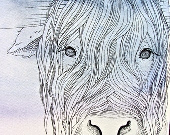 Highland Cow - Archival Print