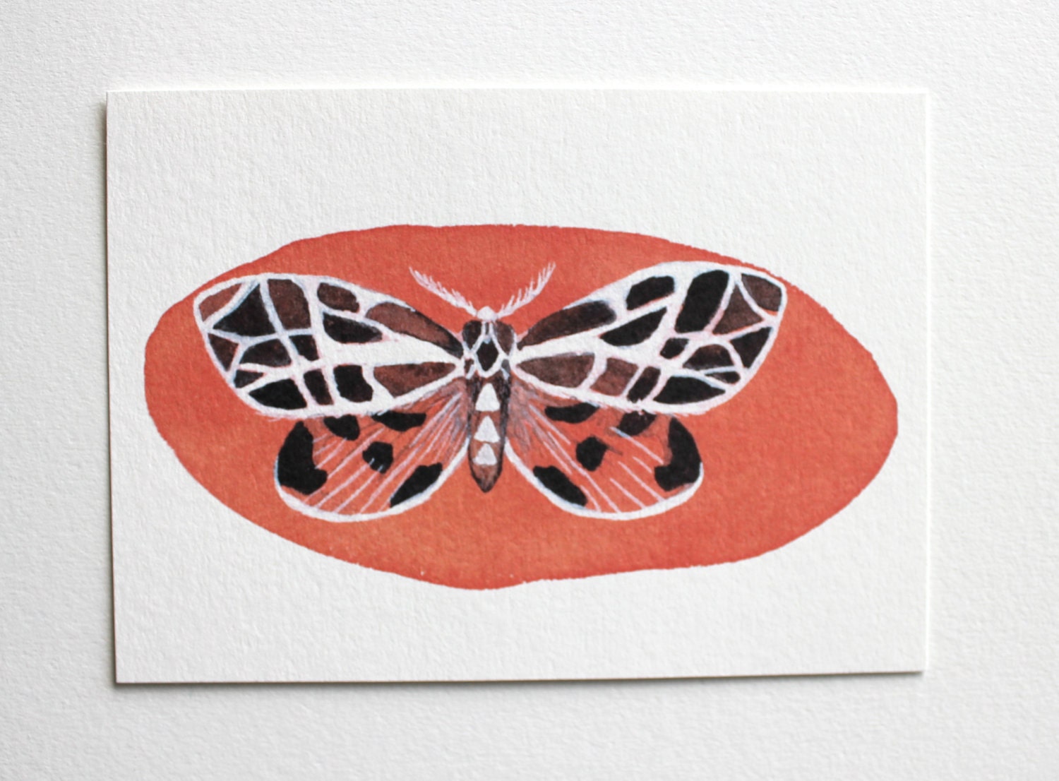 Two Moths - Watercolor Painting - Archival Art Print