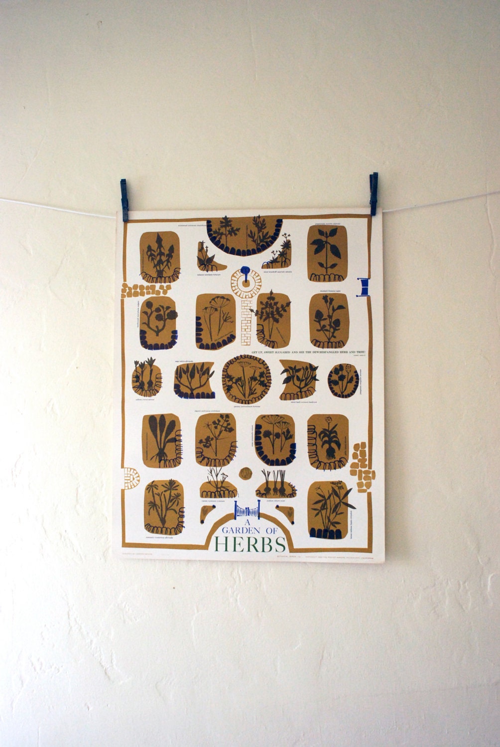 A Garden of Herbs - part of the Botanical Series, Vintage 1963 poster by Osborn Woods