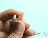 Guinea pig -Made by order-