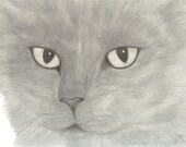 Custom Pet Portrait from your Favorite Photograph