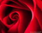 Flower Photography - Red Rose Photograph - 8x10 Fine Art Photography Print - Red Home Decor