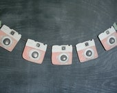 Hand Painted Holga Garland, Coral