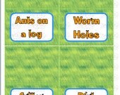Cool Critters Buffet or Name Tent Cards Il_170x135