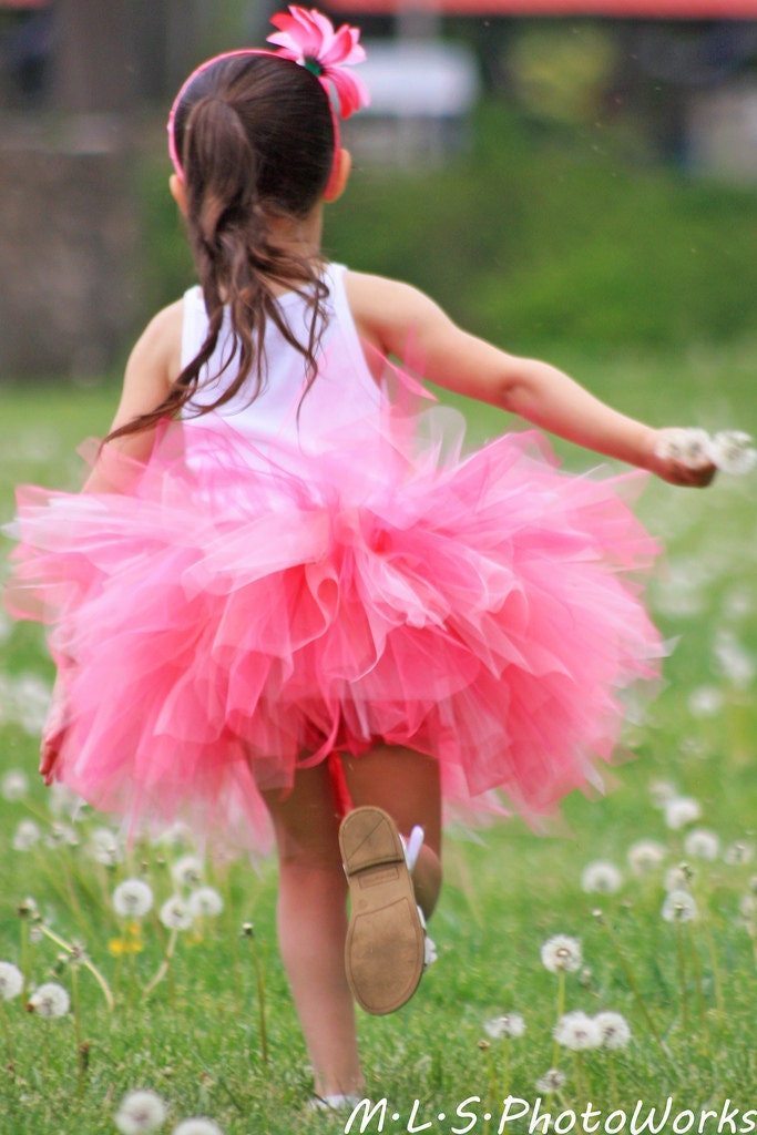 Pinkalicious Pink Pixie TuTu - Girls Size 12 Months 2T 3T 4T 5T 6 7  8 ...Birthday, Photo Prop, Dress Up, Costume, Gift -  Very Pretty