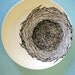 Bird Nest Black & White Hand Drawn Plate