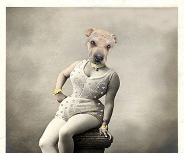 Bebe - Vintage Dog 5x7 Print - Altered Photo - Anthropomorphic - Whimsical Art - Photo Collage -  Funny Animal Print - Sharpei Print