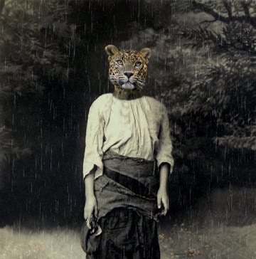 Talaya - Vintage Tiger 5x7 Print - Anthropomorphic - Altered Photo - Rain - Collage Art, Whimsical Art - Gift Idea