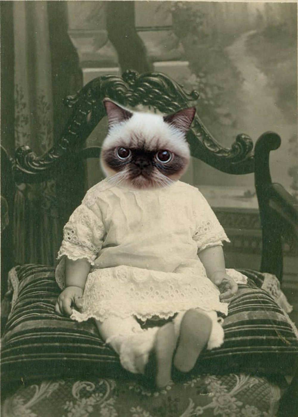 Zack - Vintage Cat 5x7 Print - Anthropomorphic - Animal Print - Collage Art - Funny Animal - Cute Animal - Sepia - Vintage Photo