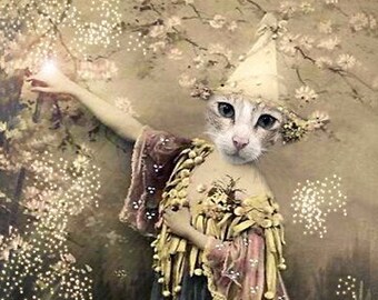 Zadkiel - Vintage 5x7 Cat Print - Anthropomorphic - Altered Photo - Magic Cat Print - Photo Collage Art - Whimsical Art - Gift Idea