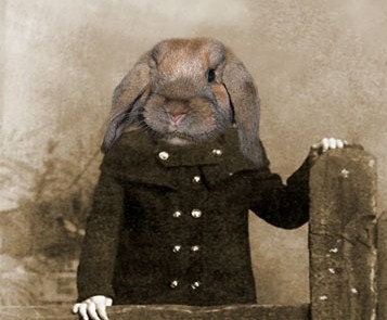 Phoebe 5x7 Vintage Rabbit Print - Anthropomorphic - Altered Photo - Animal Print - Gift Idea - Photo Collage Art - Whimsical Art - Fantasy