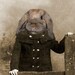 Phoebe 5x7 Vintage Rabbit Print - Anthropomorphic - Altered Photo - Animal Print - Gift Idea - Photo Collage Art - Whimsical Art - Fantasy