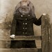 Phoebe 5x7 Vintage Rabbit Print - Anthropomorphic - Altered Photo - Animal Print - Gift Idea - Photo Collage Art - Whimsical Art - Fantasy