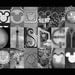 Disney With Hidden Mickey's (Walt Disney World) Alphabet Photography Letter Art Print 11 by 14