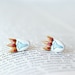 Ice King Adventure Time Earrings