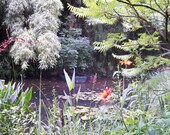 escape, monet's garden, giverny, france, home art, postcard