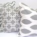 Gray Pillow Set.THREE PIECE SET.20x20inch.Pillow Cover Set for Throw Pillows.Printed Fabric Front and Back