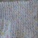 Crocheted Wash Cloth/Dish Rag  Set of 2