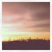 iphoneography, new york photography, sunset over NYC skyline, 8x8 art photo, instagram, home decor