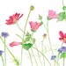 Wildflowers Watercolor Painting - 8 x 10 Print - Wildflower Painting, Spring, Summer, Garden, Flowers, Cosmos, Pastel, Pink, Green, Blue
