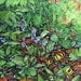 Forest Floor 8" x 04" Archival Art Print