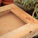 8x8 Succulent Frame Unfinished