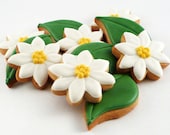 Decorated Cookies - Daisies - Leaves - 1 dozen