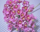 Forget Me Nots Flowers - Pink Crush