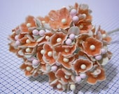 Forget Me Nots Flowers - Orange Brown
