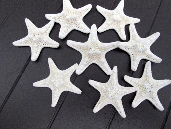 Small White Starfish