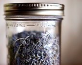 Lavender in Ball Jar Photography - 8x10, Dried, Glass Flowers Original Fine Art Photograph - Metallic Finish - Country Kitchen - Blue Purpl
