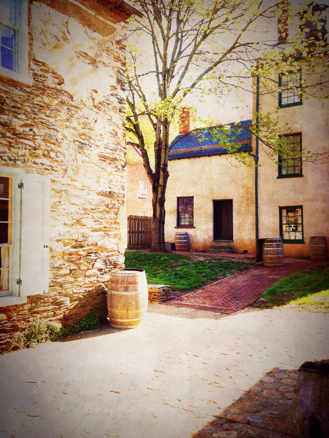Spring Country Courtyard Photo Print