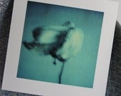 Blue Polaroid Flower, Orchid Photo Print, Floral Wall Art