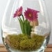 SALE - Tiny Purple Daisy Woodland Terrarium in Repurposed Vase