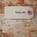 Rustic Place Cards Hand-Stamped with Full Names on Kraft Shipping Tags (Custom)