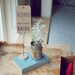 5 Kraft Reserved Seating Signs for Rustic Weddings (Custom)