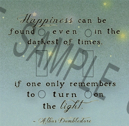 Harry Potter Inspired "Turn On The Light" Switch plate