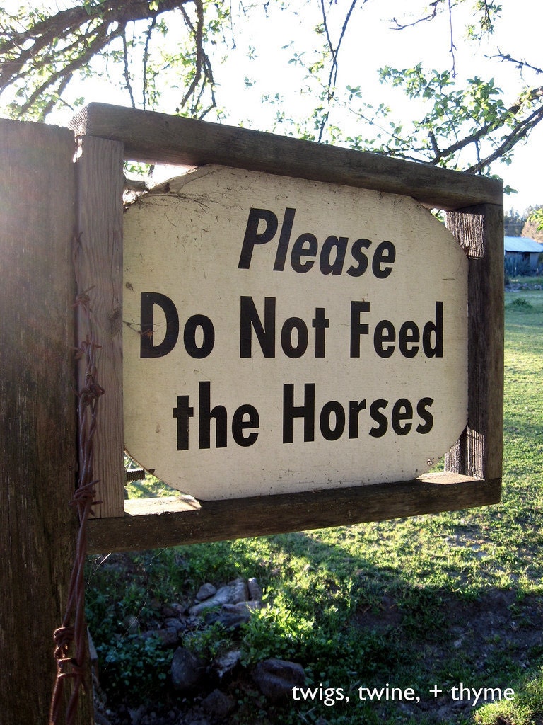 8x10 photograph: Please Do Not Feed the Horses. Rustic, landscpe, sign, wine country, ranch, country, equestrian, farm