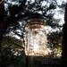 Mason Jar Solar Lanterns Centerpiece or Path Lighting Rustic Wedding Decor