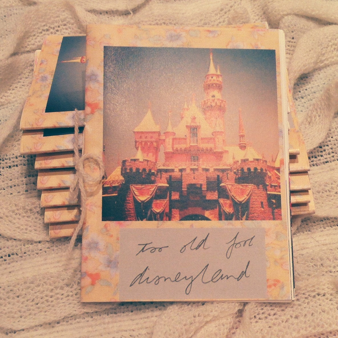 TOO OLD for DISNEYLAND zine