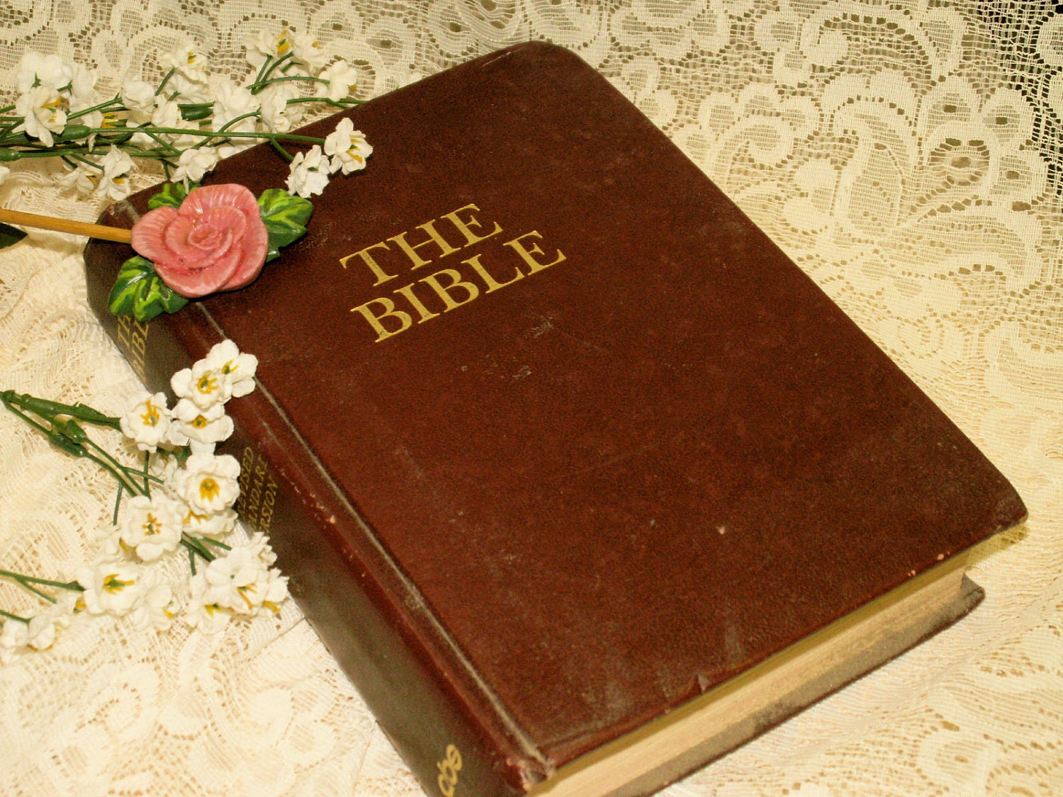 Rsv Bible