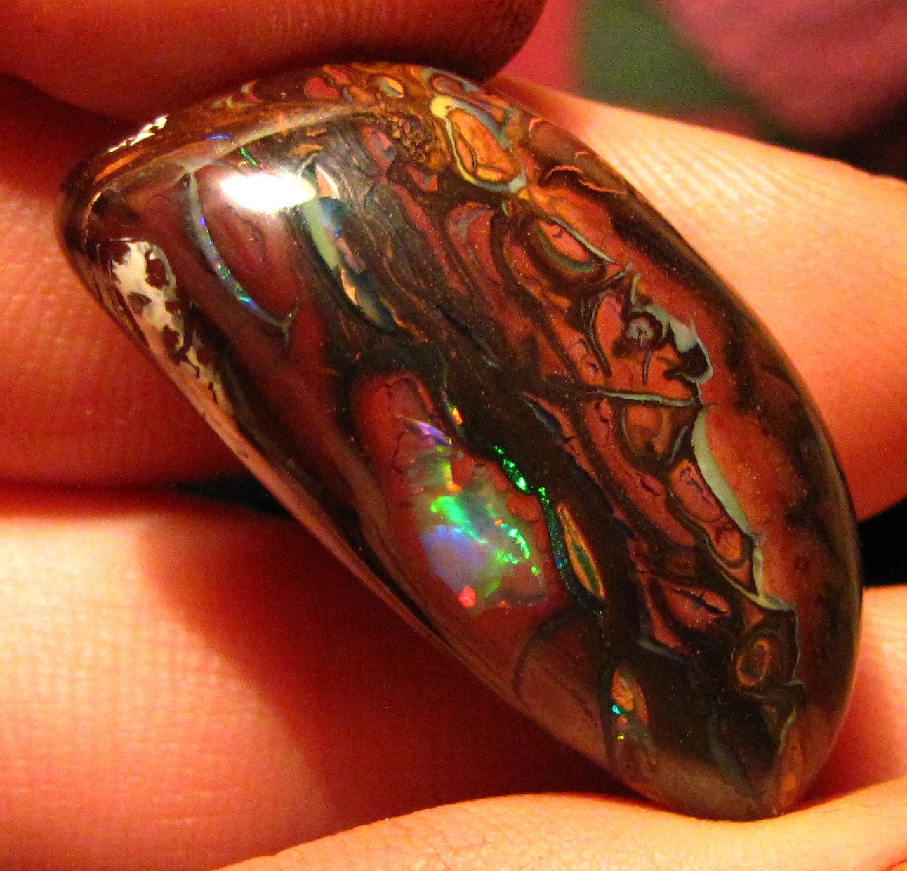 Collector piece    40.9ct Rare Koroit Boulder Opal /Australian Opal  FREE SHIPPING