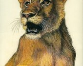 Animal Painting "Lion Cub" 5 x 7 Print