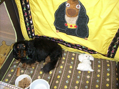 Dachsies With Moxie Tapestries, Quilts and More- Dog Quilts- Custom Pet Portraits -one of a kind treasures of your beloved family pet.