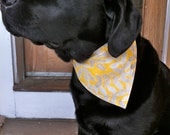 Small-Medium Female Dog Bandanas (3-pack)