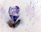 Crocus snowy watercolour print spring purple 5 x 8