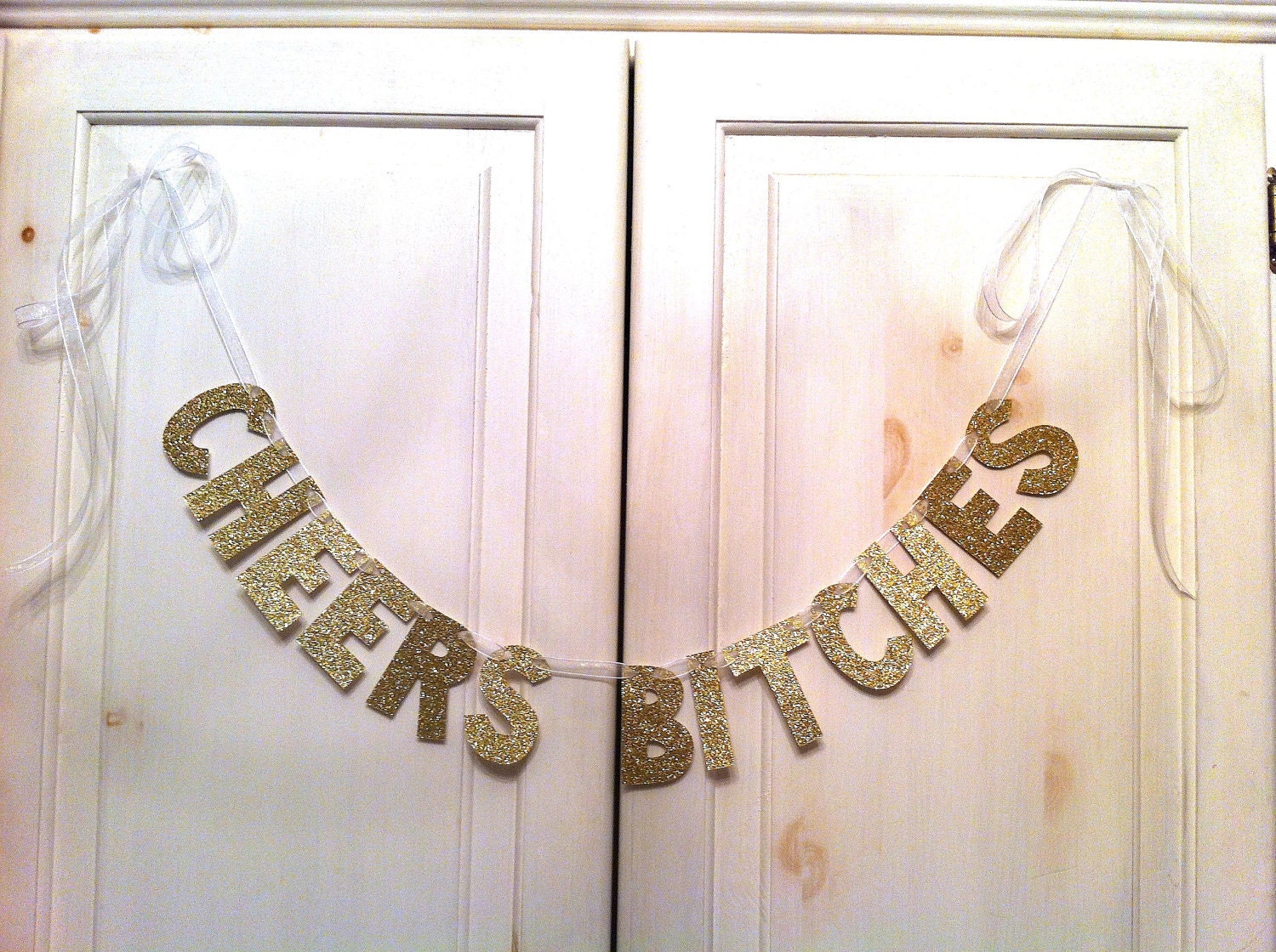 CHEERS Bitches Glitter Banner / Bachelorette Party Decoration / Girls Night Decoration / Photo Prop