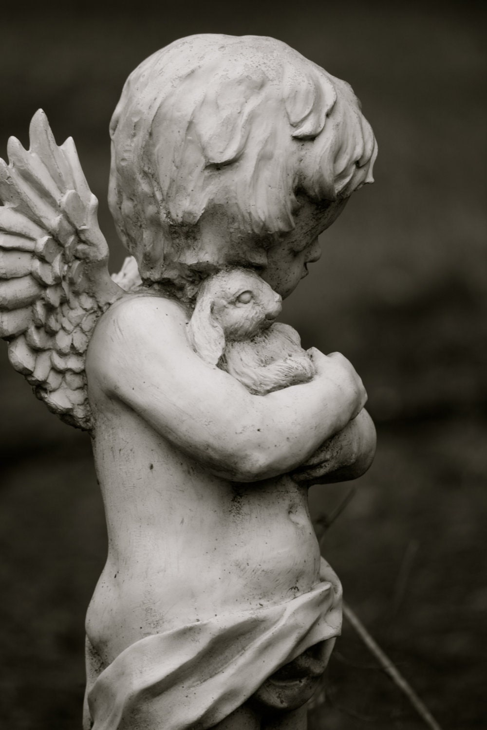 Black and White Photograph, Cherub Statue, Danish Cemetery, 5x7 photograph